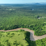 Rains Trigger Ecological Revival Across Kenya as Earth Day 2026 Sparks Climate Action