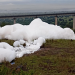 Toxic Spill Threatens Nairobi National Park Ecosystem