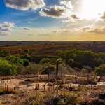 Extreme Heat is Pushing Agrifood Systems to the Brink Worldwide, says FAO, WMO
