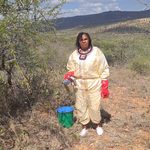 Maasai Women Drive Climate Resilience Through Beekeeping in Laikipia