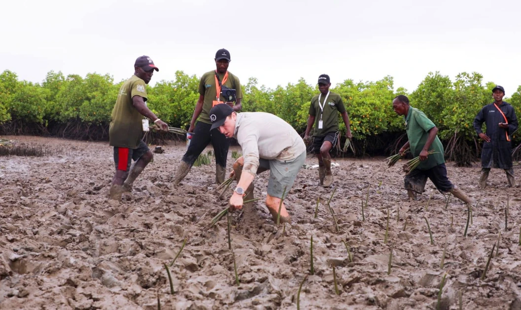 Canadian Environmentalist Sets New Tree-Planting World Record in Mombasa’s Tudor Creek