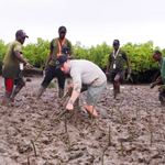 Canadian Environmentalist Sets New Tree-Planting World Record in Mombasa’s Tudor Creek
