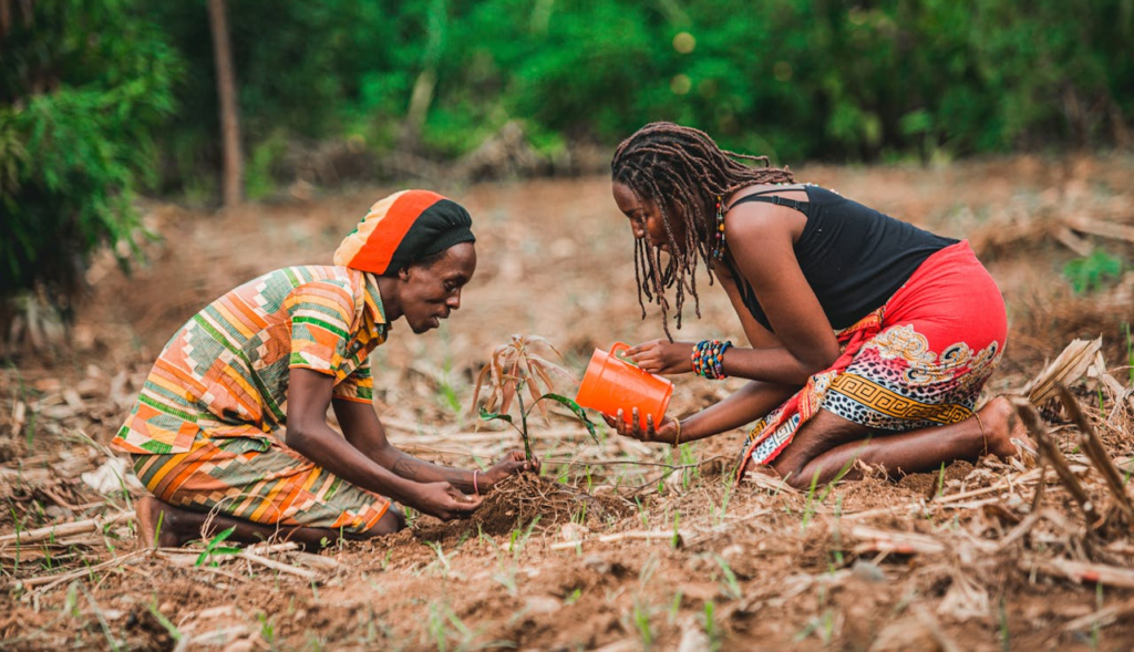 Indigenous Knowledge Is the Missing Link in Climate Resilience