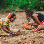Indigenous Knowledge Is the Missing Link in Climate Resilience