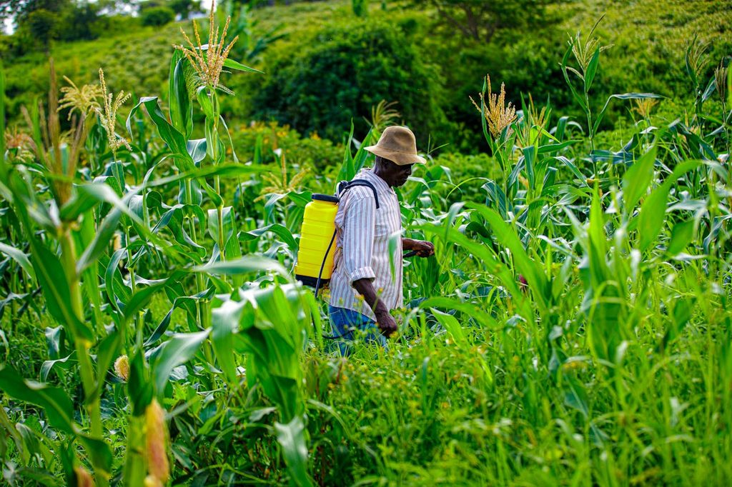 Kenya’s Agri-Insurance Boom Climate Resilience