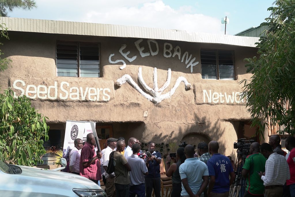 Seed Savers Push to Protect Indigenous Seeds as Kenya Revises Seed Laws