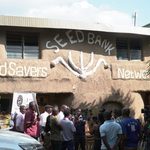Seed Savers Push to Protect Indigenous Seeds as Kenya Revises Seed Laws