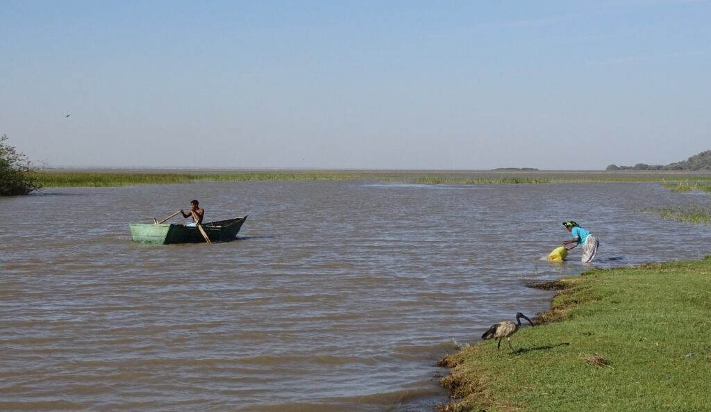 New Partnership Seeks to Rescue Ethiopia’s Lake Ziway
