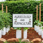 Schools Turn to Permaculture Farming to Cut Costs and Improve Nutrition