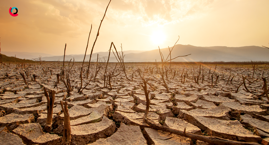 El Niño Threat Grows as Forecast Odds Jump to 82%
