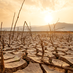 El Niño Threat Grows as Forecast Odds Jump to 82%