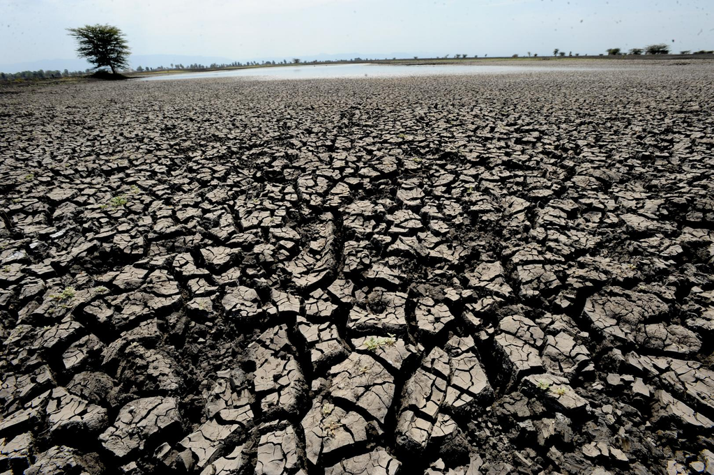 Climate Change, Pollution Fuel Africa’s Growing Allergy Crisis, Health Experts Warn