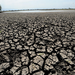 Climate Change, Pollution Fuel Africa’s Growing Allergy Crisis, Health Experts Warn