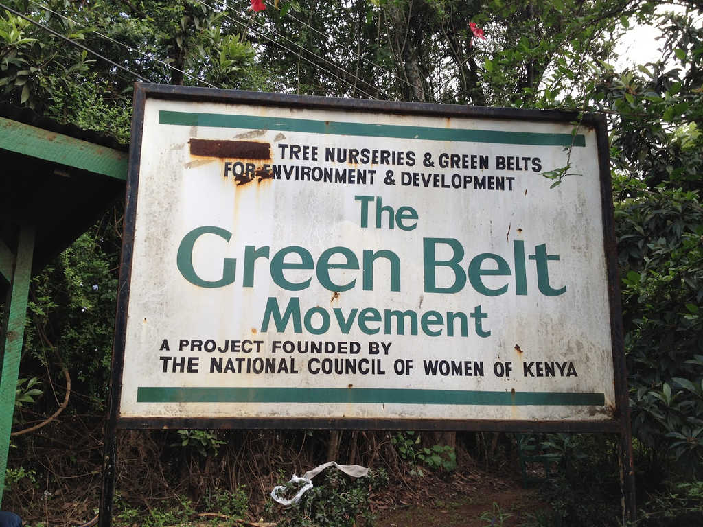 Green Belt Movement, Just Act Sue Government Over Forest Law Amendment