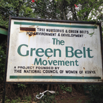 Green Belt Movement, Just Act Sue Government Over Forest Law Amendment