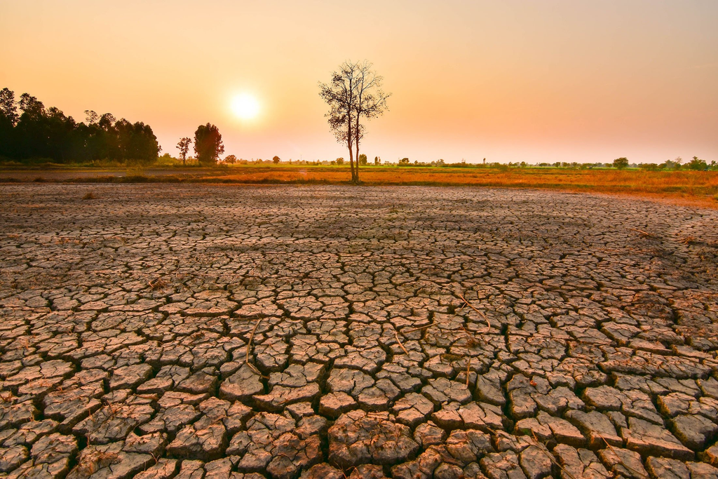 Africa Faces Heightened Hunger Risk as FAO Warns of Emerging El Niño Threat