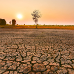 Africa Faces Heightened Hunger Risk as FAO Warns of Emerging El Niño Threat