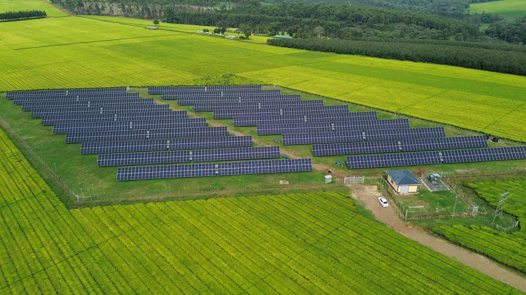 Kenya’s Agriculture and Solar Power Beyond the Hype