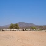 KDC Plans Kenya’s First Green Fund as Climate Financing Gap Widens