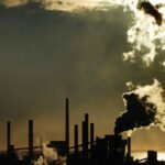 Northern Kenya Communities Share Sh655 Million in Carbon Credit Windfall