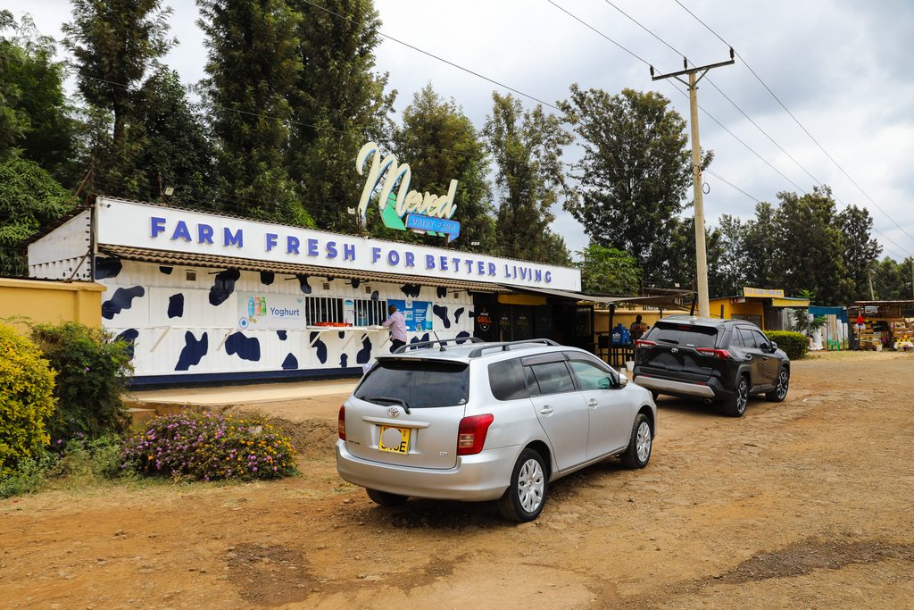 Sagana Dairy Farm Offers Lessons In Safer, Climate-Smart Food Production