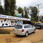 Sagana Dairy Farm Offers Lessons In Safer, Climate-Smart Food Production
