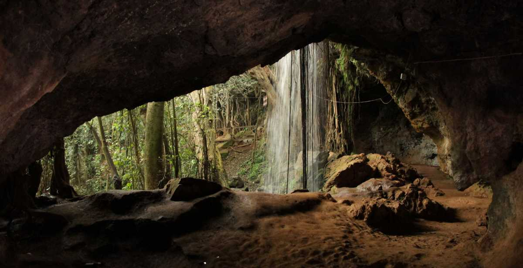 Nairobi Biodiversity Talks Open With Warning That World Is Falling Behind On 2030 Nature Targets