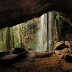 Nairobi Biodiversity Talks Open With Warning That World Is Falling Behind On 2030 Nature Targets