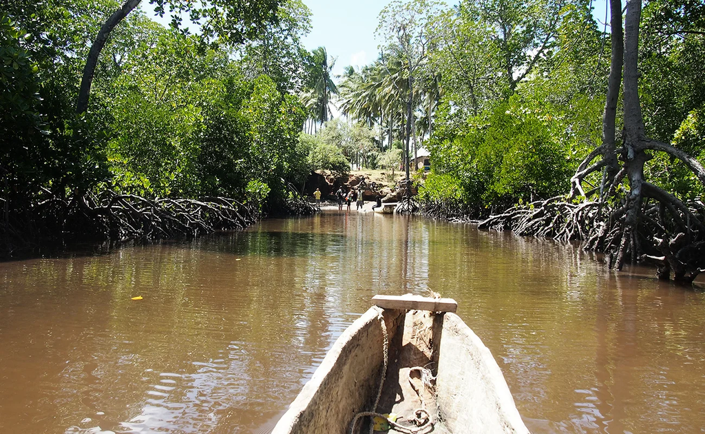 As Fish Disappear, Kenya’s Coastal Families Fight for Survival