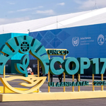 Africa Pushes Drought Finance and Pastoralist Protections at COP17