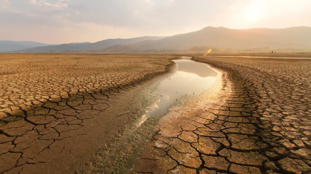 Climate Money Risks Deepening Africa’s Soil and Biodiversity Crisis – Report