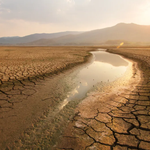 Climate Money Risks Deepening Africa’s Soil and Biodiversity Crisis – Report