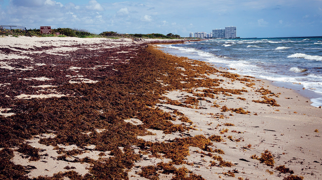 Study Links Climate Change to Unprecedented El Niño Intensity