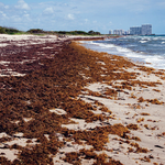 Study Links Climate Change to Unprecedented El Niño Intensity