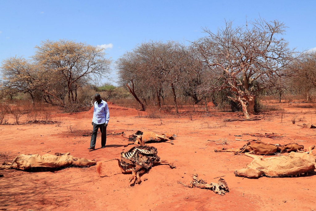 Horn Of Africa Steps Up Displacement Forecasts As El Niño Raises Flood Risk