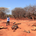 Horn Of Africa Steps Up Displacement Forecasts As El Niño Raises Flood Risk