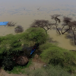 Lake Bogoria Overflow Threatens Baringo’s Freshwater Ecosystem