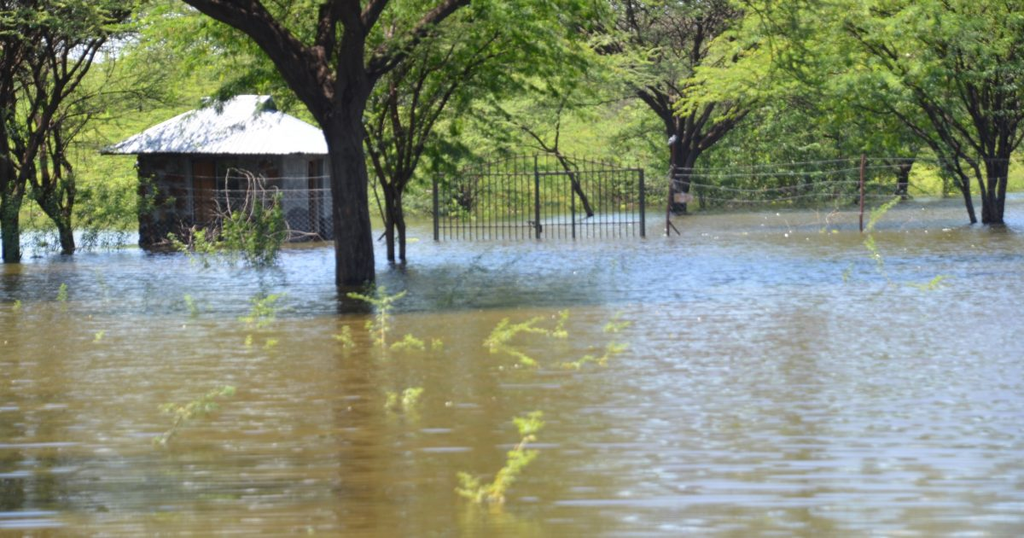 Rising Lakes Put Kenya on Alert as El Niño Threat Grows