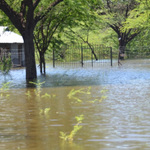 Rising Lakes Put Kenya on Alert as El Niño Threat Grows