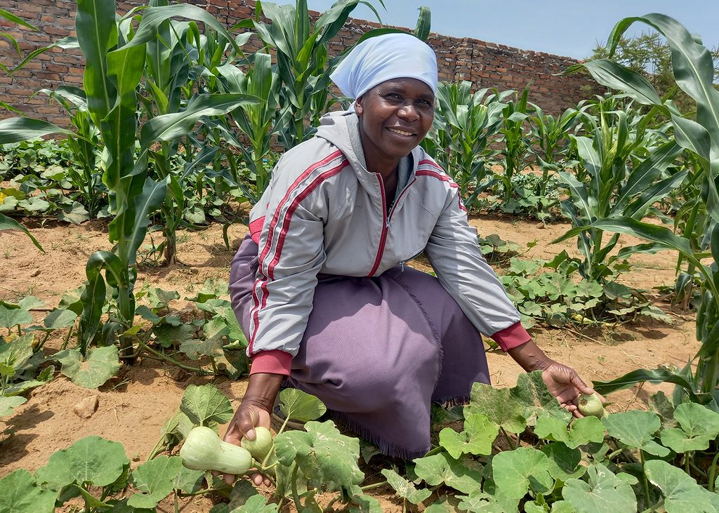 Divisi Brings Location-Based Farm Advice to African Farmers