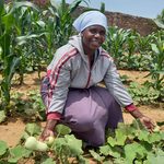 Divisi Brings Location-Based Farm Advice to African Farmers