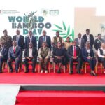 Kenya Looks to Bamboo to Turn Climate Action into Rural Enterprise