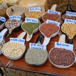 Kenya’s Indigenous Seeds Face a Defining Legal and Policy Test