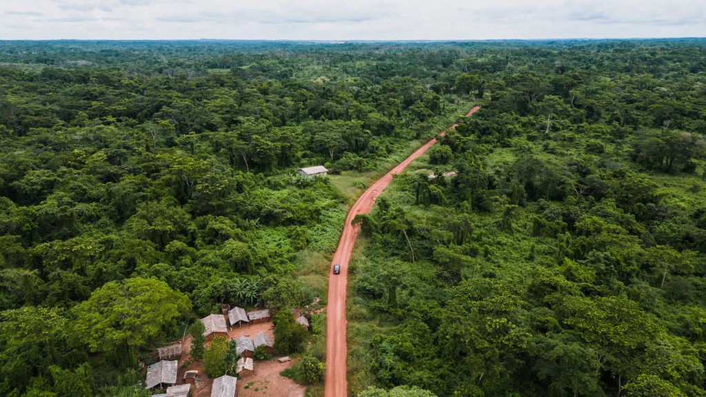Parliament Approves Excision of Nearly 15,000 Acres from Public Forests