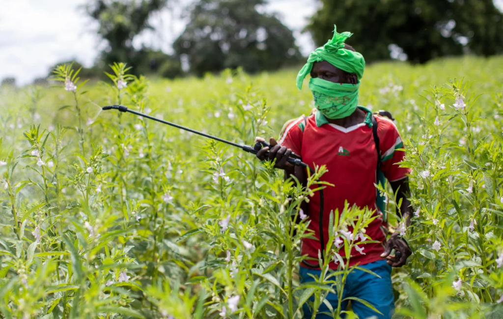 Pesticide Poisoning Hits More Than Half of East Africa&rsquo;s Farmers