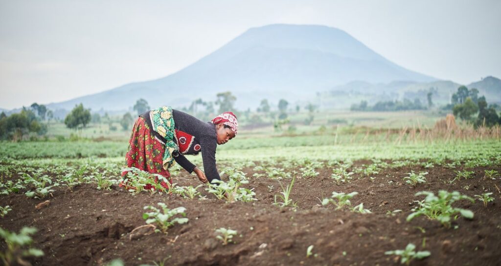 Sub-Saharan Africa’s Soils Among World’s Worst, FAO Warns of Food Security Threat