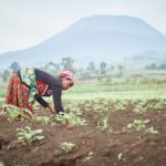 Sub-Saharan Africa’s Soils Among World’s Worst, FAO Warns of Food Security Threat