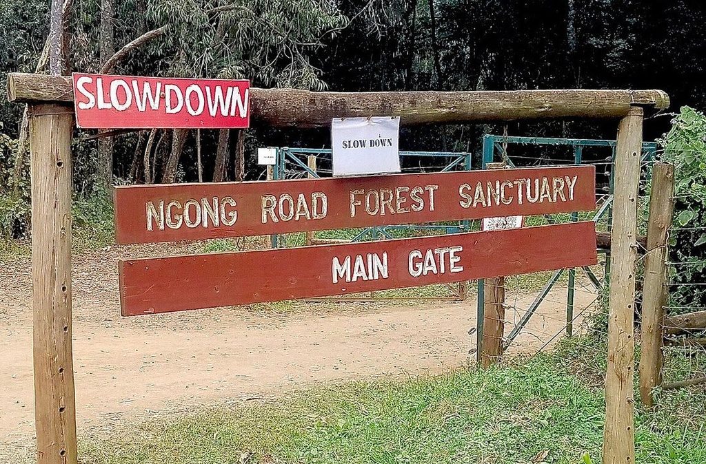 Conservation Group Opposes Plan to Alter Ngong Road Forest Boundary