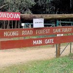 Conservation Group Opposes Plan to Alter Ngong Road Forest Boundary