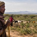Kenya’s Carbon Market Faces Fresh Legal Test